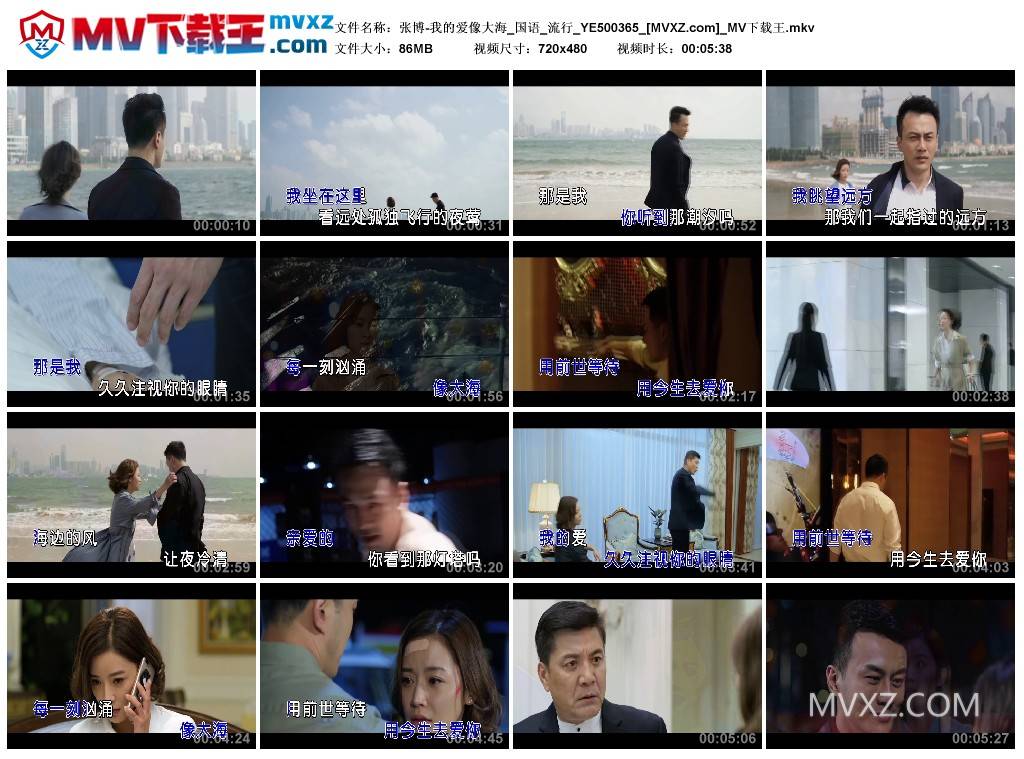 张博-我的爱像大海_国语_流行_YE500365